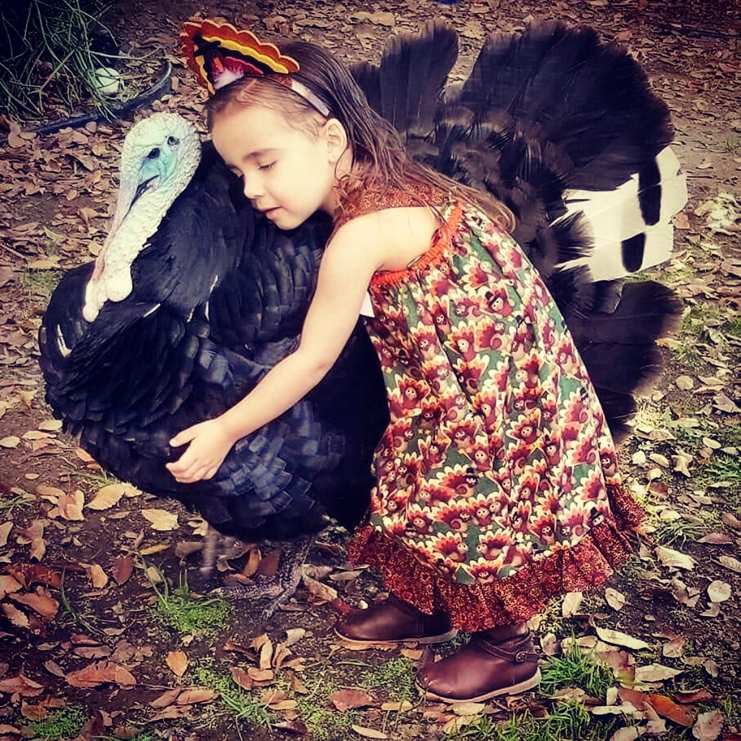 Go Vegan this Thanksliving!!! 
#govegan #thanksgiving #thanksliving #hugaturkey #happyholidays