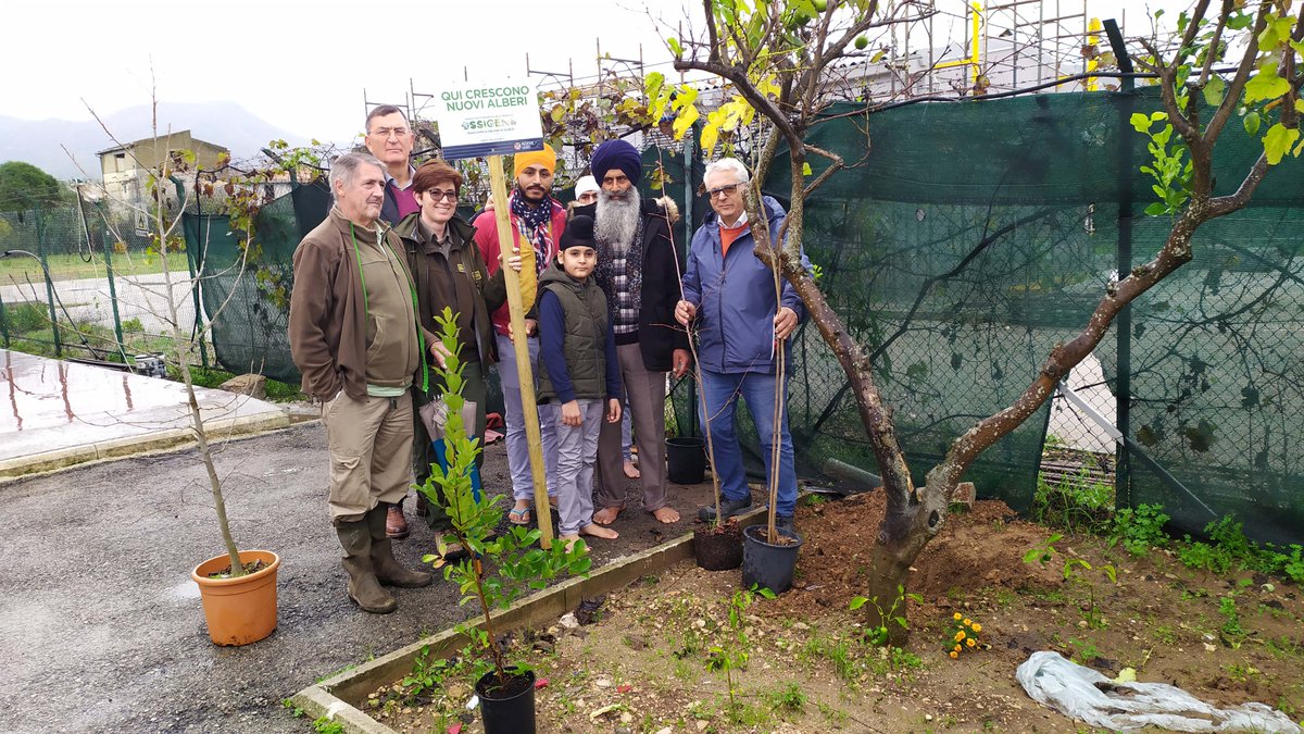 parcoausoni's tweet photo. Progetto #Ossigeno - Regione #Lazio: il Parco Monti #Ausoni e la comunità indiana #Sikh piantano alberi a #Fondi (LT)
https://t.co/ZTr8Z9u3Hl https://t.co/SSOXv26gcl