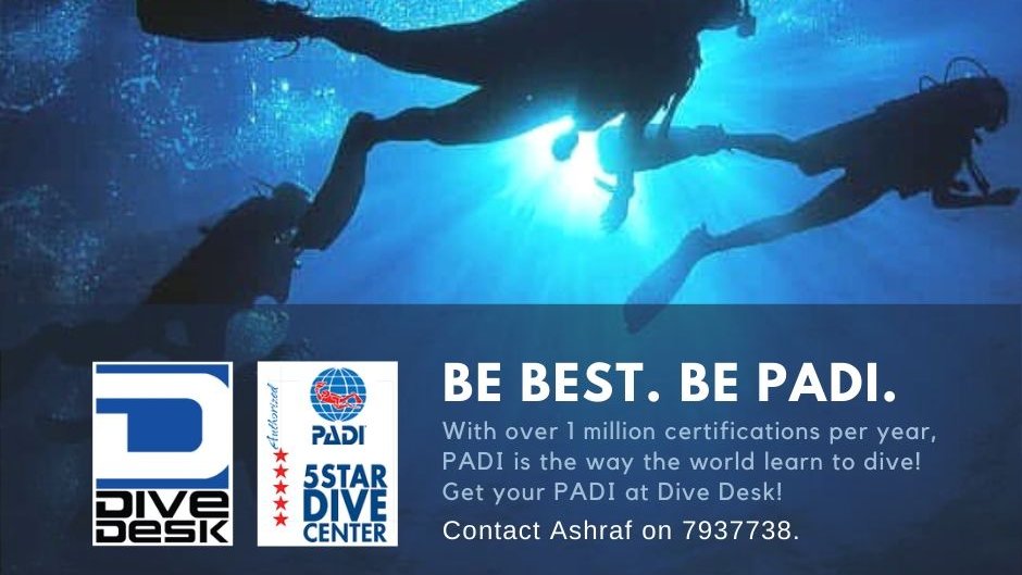 DiveDesk's tweet photo. Maldives is rich in wildlife - it's just that you have to head underwater to see it! Coral reefs are believed to have the highest biodiversity of any ecosystem on Earth. 

Contact Ashraf on 7937738 to start your PADI scuba training! #scubadiving #maldives #VisitMaldives @PADI https://t.co/KNPUcuK2pJ