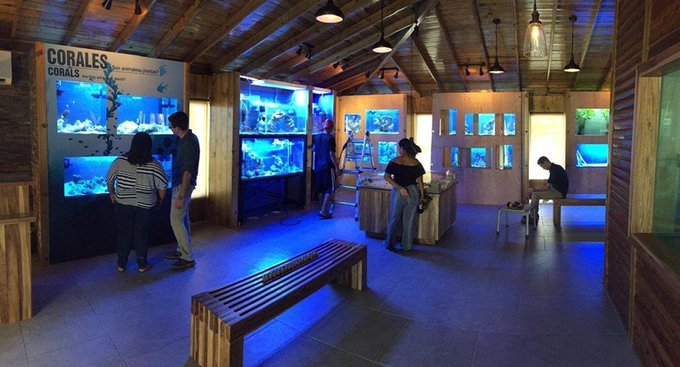 Ver imagen en Twitter