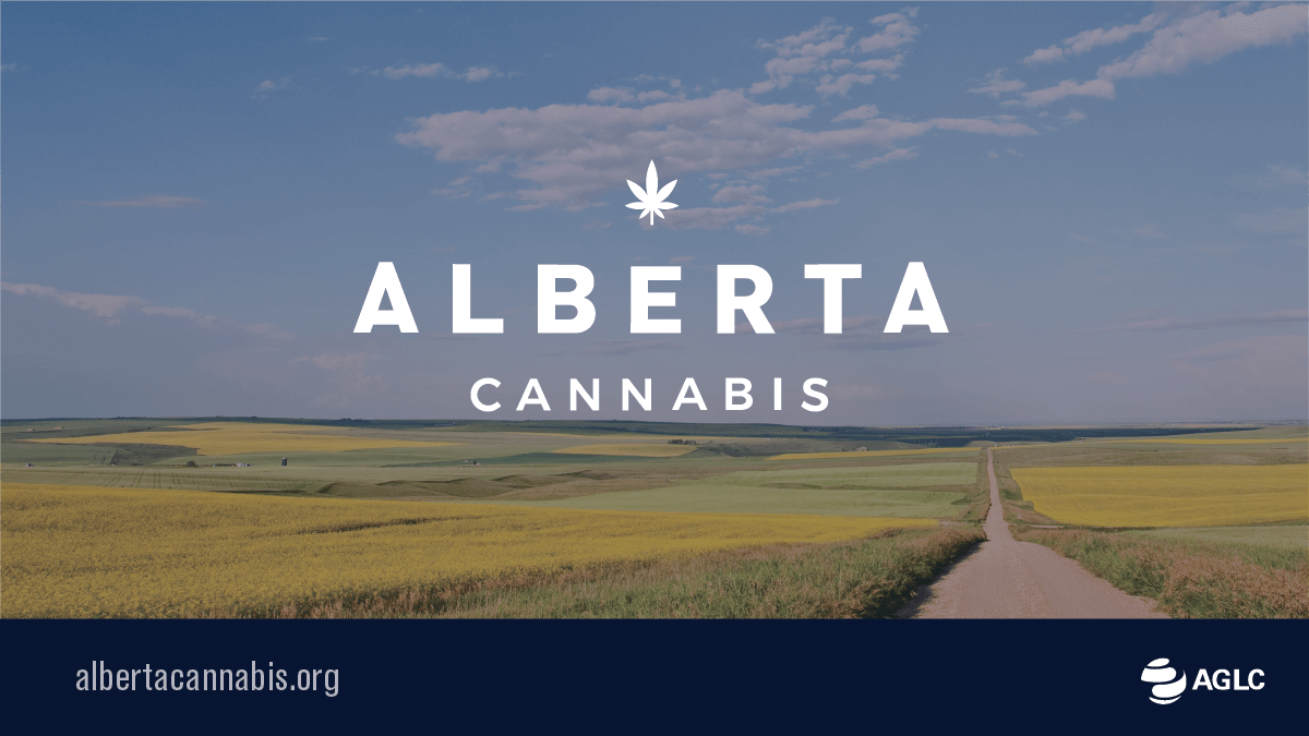 There are many #ChecksAndBalances before cannabis products appear on retail shelves - a good way to ensure our products are of consistent quality! Look for them at bit.ly/32GK1va