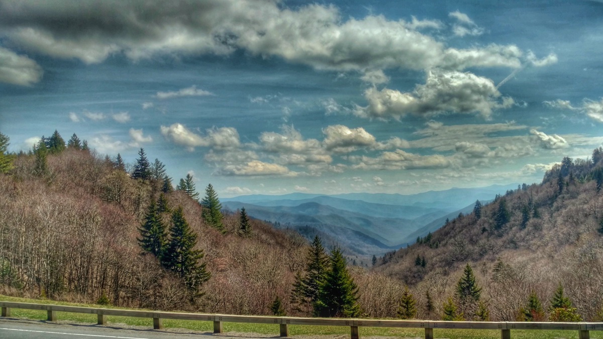 RickGriffin's tweet image. Today's #Top4Theme is #Parks! Here 4 of my faves: 
1 Great Smoky Mountains NP
2 Glacier Bay NP in Alaska
3 Glacier NP in Montana
4 Denali NP in Alaska

*Choose 1-4 photos of parks
*Use the above 2 hashtags
*Tag our hosts: @GreenMochila @CharlesMcCool @Giselleinmotion @Touchse