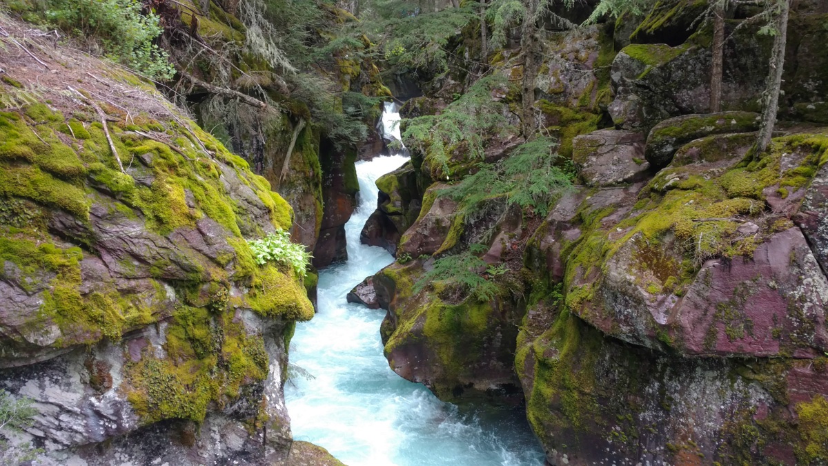 RickGriffin's tweet image. Today's #Top4Theme is #Parks! Here 4 of my faves: 
1 Great Smoky Mountains NP
2 Glacier Bay NP in Alaska
3 Glacier NP in Montana
4 Denali NP in Alaska

*Choose 1-4 photos of parks
*Use the above 2 hashtags
*Tag our hosts: @GreenMochila @CharlesMcCool @Giselleinmotion @Touchse