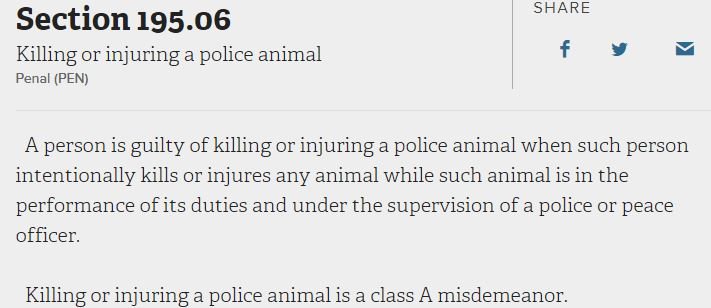 NYCPBA's tweet photo. #NoBailNY #CrimeADay
Come Jan. 1st, New York State’s new bail laws will allow for judges to RELEASE defendants accused of many serious crimes – including some violent ones. Today’s example: if a criminal kills a police dog or a police horse, they will be arraigned and set free https://t.co/TJOGHFk9In