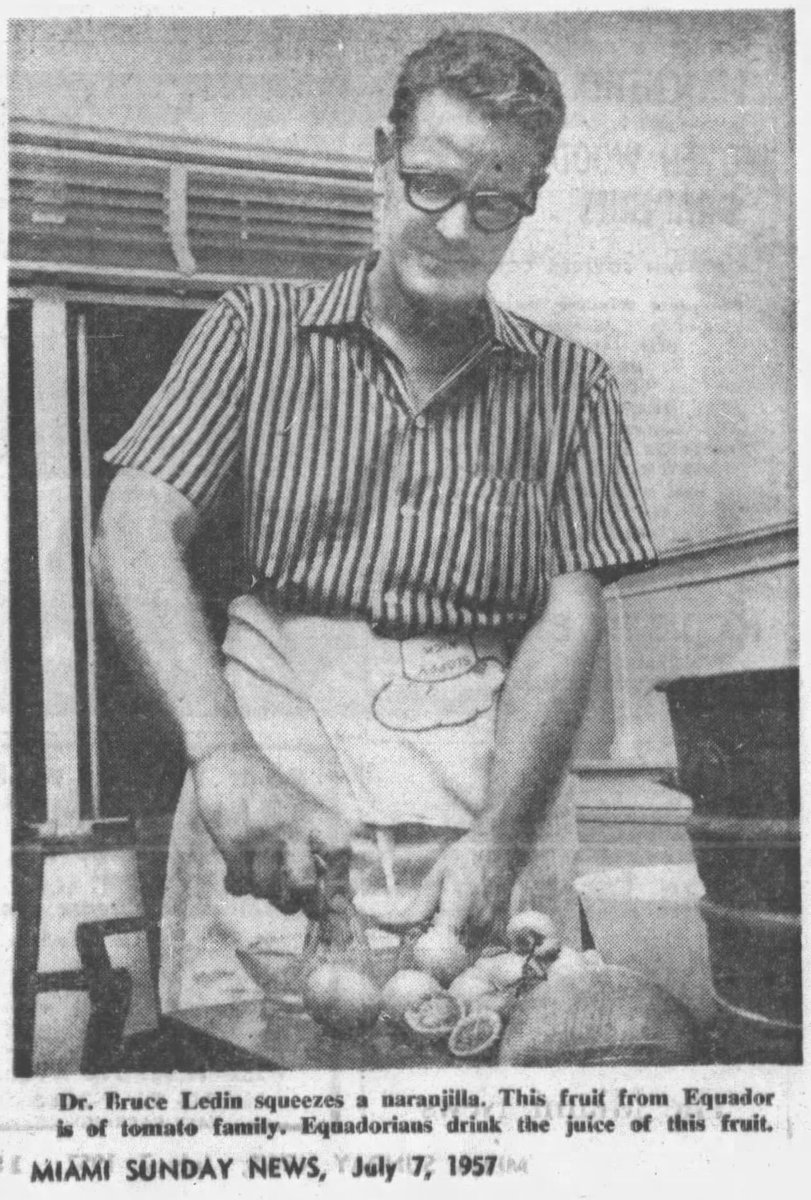 RareFruitMiami's tweet photo. @UFTropical @JackPayneIFAS @nplace01 @UFIFAS_IRREC @UFIFAS_FLREC @SWFREC @UFIFASCitrusREC @UF_IFAS Celebrating some of our Rare Fruit Council Int’l. (RFCI) Miami founders in 1955 that were UF IFAS / TREC Scientists Dr. Ruehle Dr. Ledin Dr. Harkness, Goldweber, Campbell + 90 years! #RareFruitMiami #RFCIMiami #RareFruitCouncil #RFCIArchives https://t.co/z20U62JnuG