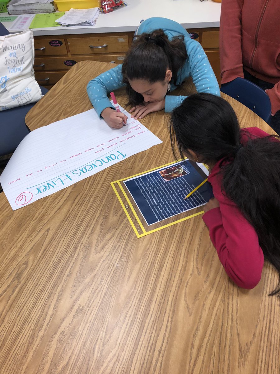 MsLong23's tweet photo. Students become the teacher by participating in World Cafe to learn more about the Digestive System. #MVESAVID @MarshvilleES_NC https://t.co/YK94XELW9C