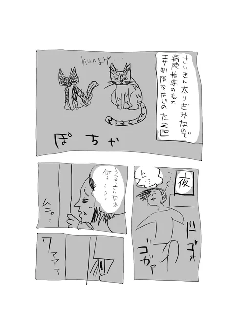 愛猫日誌 #うちの双耳峰トマとオキ 