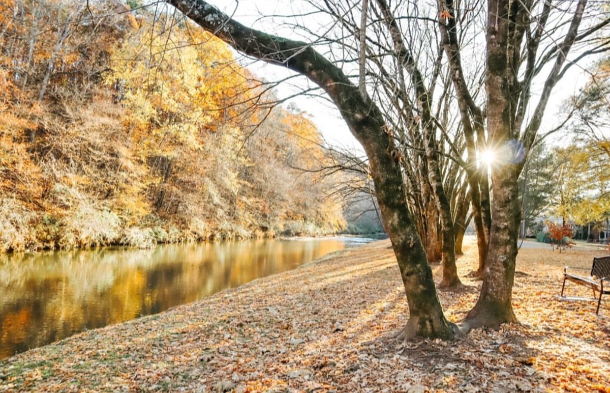 Ala_River_Trail's tweet photo. This dreamy scene on the Cahaba River in Trussville is giving us one more reason to be thankful for all the beautiful moments we've had #OnTheASRT.

 🦃 Happy Thanksgiving week! 🦃

📷 Adventuring Light https://t.co/oGLviTAX5Y