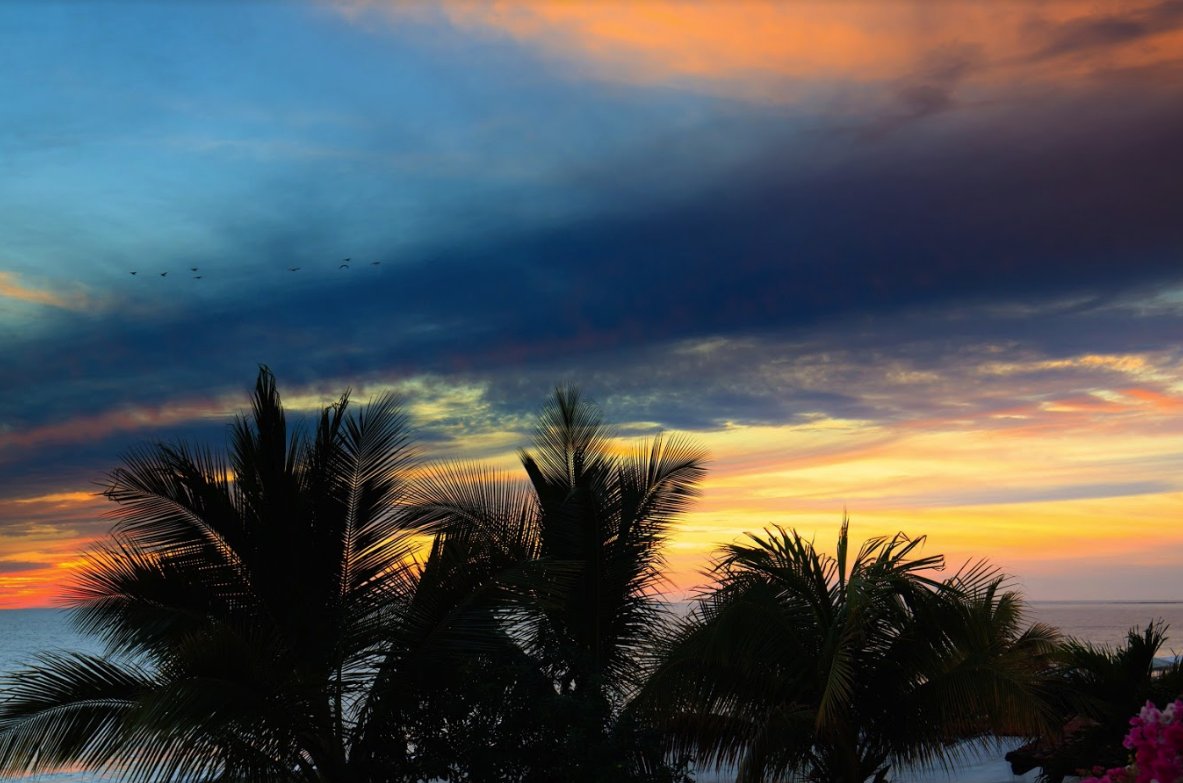 VelasVallarta's tweet photo. Sunset Vibes in @PuertoVallarta. #VelasVallarta #PuertoVallarta https://t.co/0akJR2j3jF