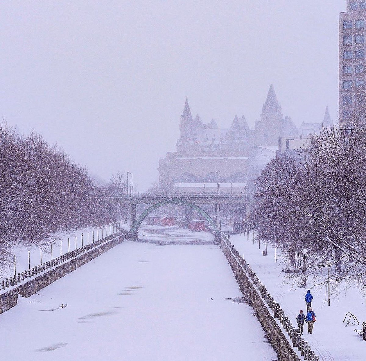 VIP Ontario Tours tweet media