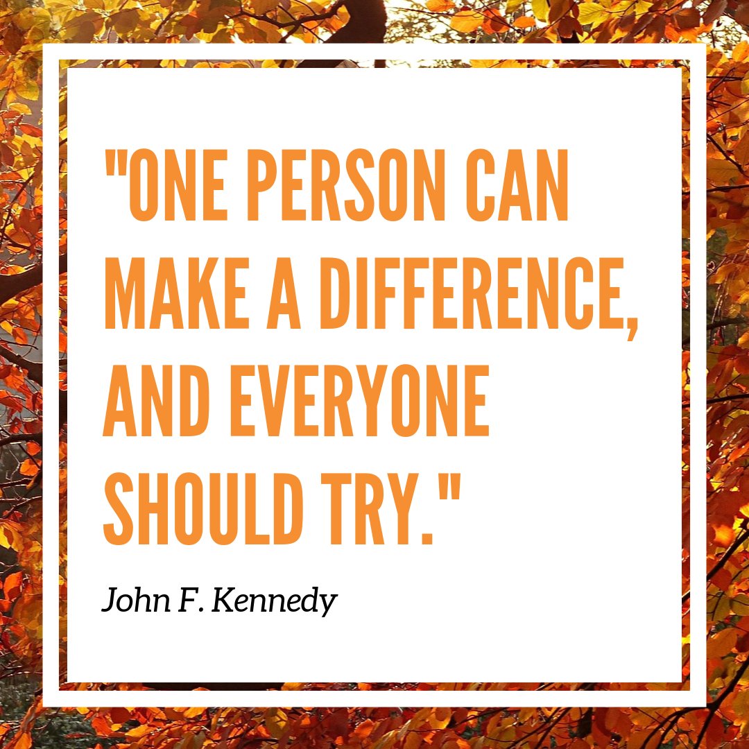 CASA of Arizona tweet media