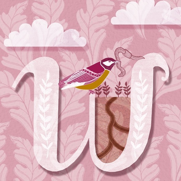 lindseyspinks's tweet photo. W...is for Worm! I’ve slowly worked my way through my #illustratedalphabet series, adding a letter whenever I get chance (it’s been an ongoing personal project for two years...oops!) Finally getting to the end and I’m excited to complete the set. I’m pla… https://t.co/XmmYqlLDXL https://t.co/UA2wqjFI2w