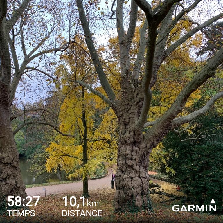 julienbastard's tweet photo. #garmin #beatyesterday #Movember #AXAAtoutCoeur @AXAFrance Re 10km de course. https://t.co/sqvcDomLMH