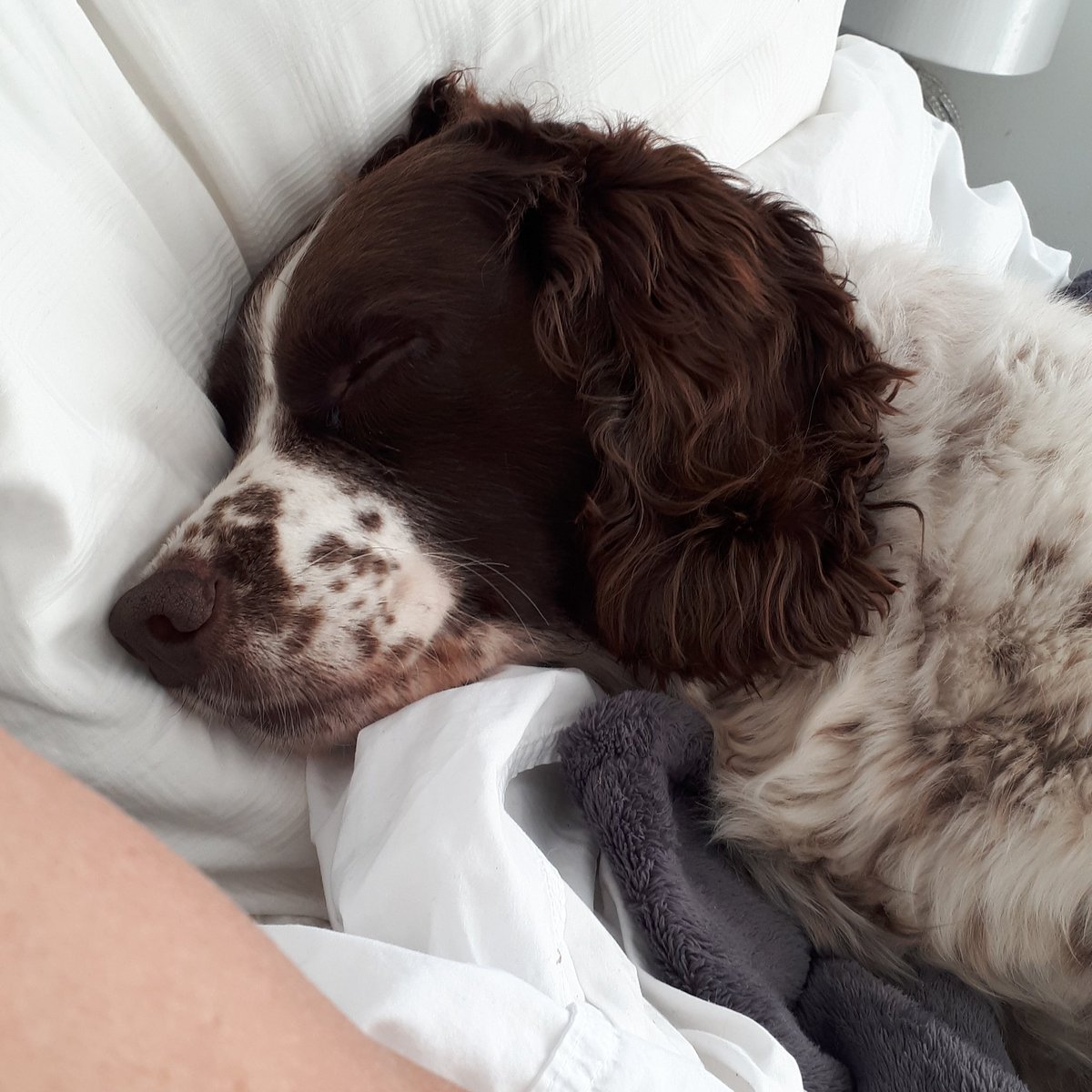 katesfxmakeup's tweet photo. @MisterJez That's prob best... you'd have my vote but I'll be voting for Baxter Griffiths #VoteBG https://t.co/JBoNaunvPP