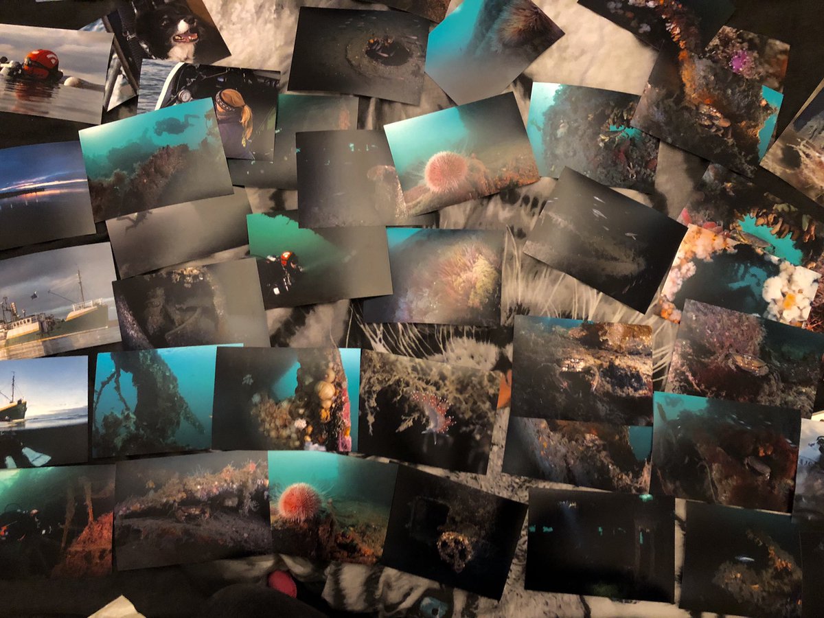 Shannon_Photo's tweet photo. Whittling down photographs from the Scapa Trip...this is going to take a while ! #mnhp #falmouthuni https://t.co/OCkMYpR9PX