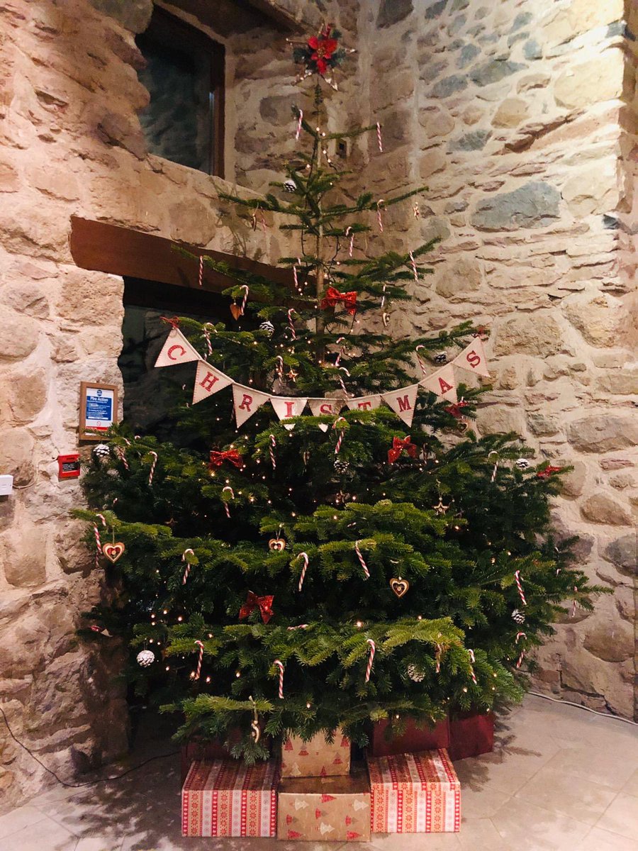 It’s beginning to look a lot like Christmas, our spa tree ready for the Christmas Fayre this weekend #spa #treysgawn #christmas #tree #anglesey #realtree