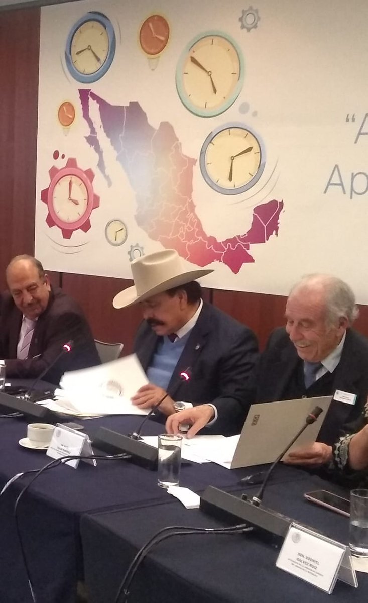 fidemx's tweet photo. El Director General del #FIDE, Raúl Talán, participó en el "Análisis del horario estacional que se aplica en los Estados Unidos Mexicanos", ante las Comisiones Unidas de #Energía y #EstudiosLegislativos del @Senadodelarepu1 https://t.co/yXs1FmoHVi