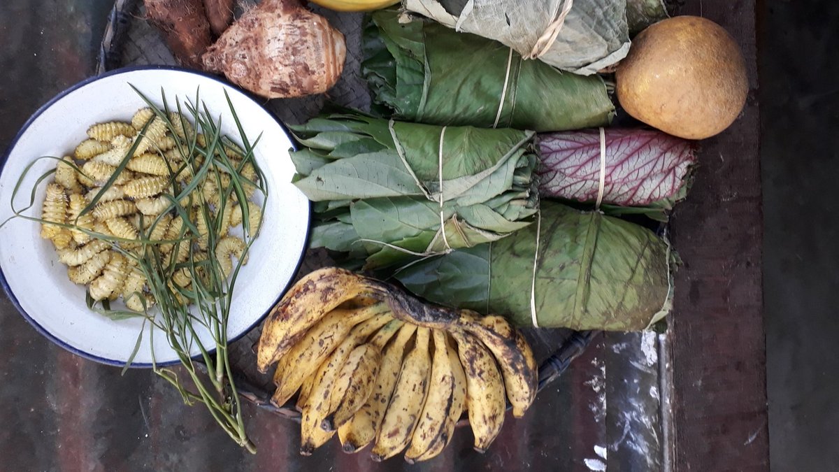BiovIntCIAT_eng's tweet photo. Should there be a new Global Biodiversity Goal on food systems, nutrition &amp; health? Participants at the #SBSTTA23 side event today agree it is a critical ingredient on the #Post2020 menu. Read more here: 👉 https://t.co/XZ7I99A06b 

 #Biodiversity2020 https://t.co/xy8Bv02xIJ