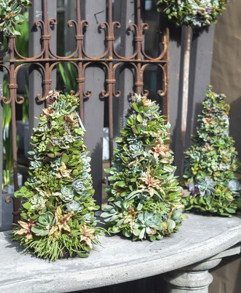 For those of you who aren't ready to commit to putting your Christmas tree up before Thanksgiving, how about a #succulent tree? These succulent pups are painstakingly woven onto the tree shape. They will get even more beautiful with age. ⁠