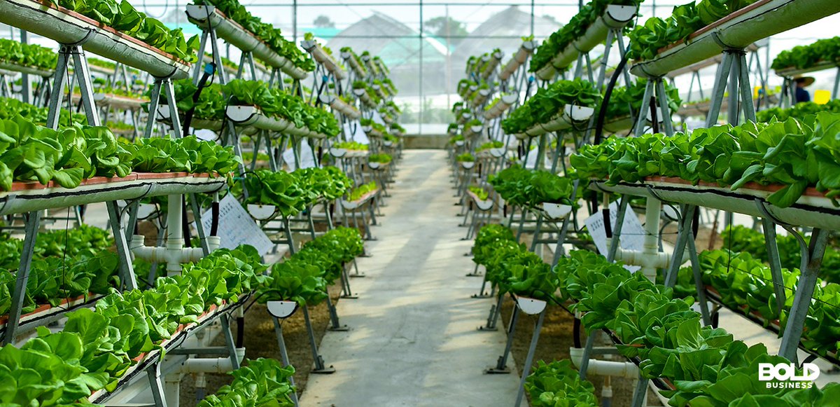 UsFarming's tweet photo. Vertical Farming Market Is Likely to Experience a Tremendous Growth in Near Future
https://t.co/4EUV5BgJDV
@UsFarming
#verticalfarming
#AeroFarm #FarmedHere #Illumitex #KoninklijkePhilips #AmericanHydroponics #Agrilution #VerticalFarmSystems #SkyGreens #GreenSenseFarms https://t.co/ju6VRF2I7Y