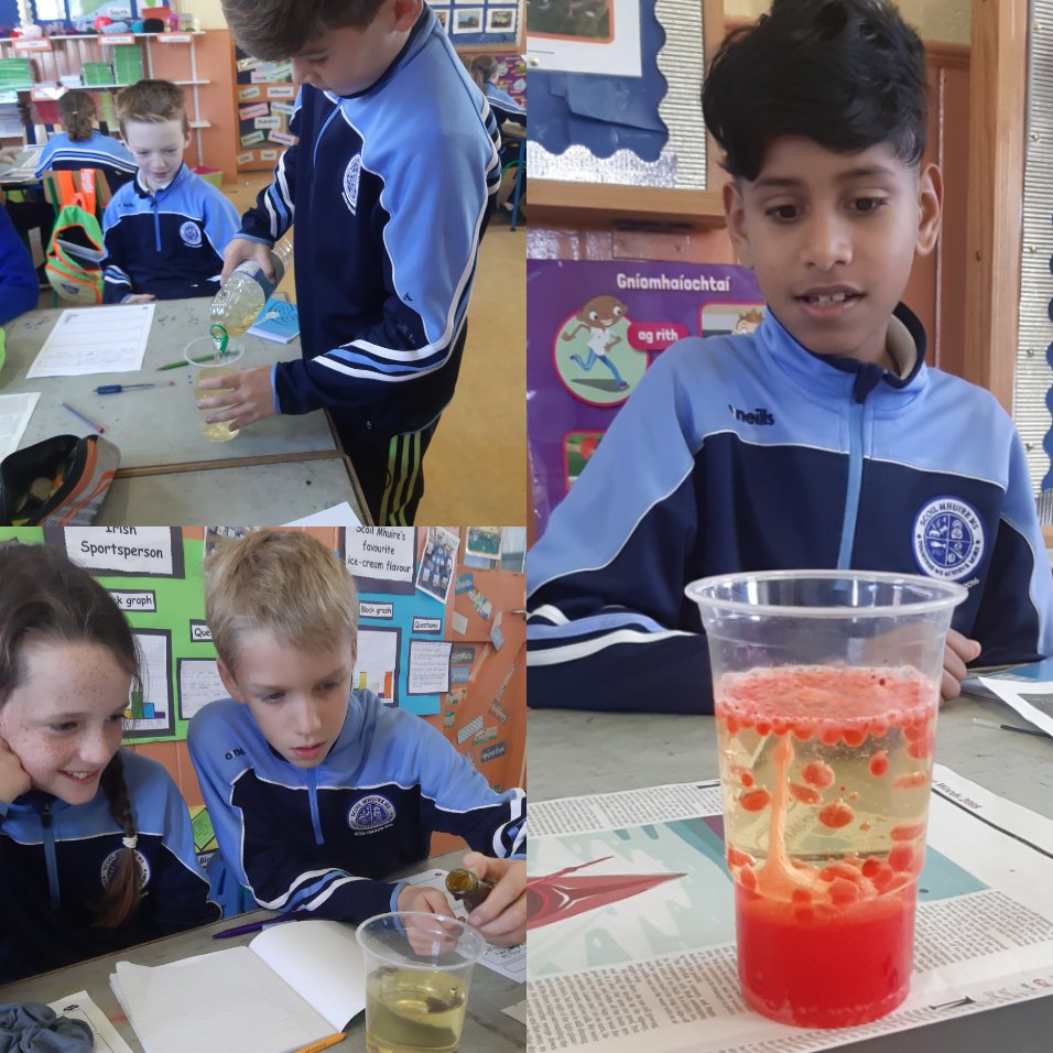mooncoinprimary's tweet image. 4th class made homemade lava lamps as part of #ScienceWeek2019 🧪👩‍🔬👨‍🔬💡