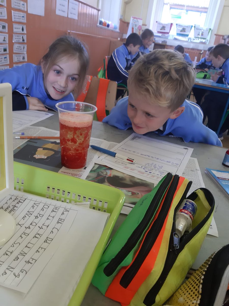 mooncoinprimary's tweet image. 4th class made homemade lava lamps as part of #ScienceWeek2019 🧪👩‍🔬👨‍🔬💡
