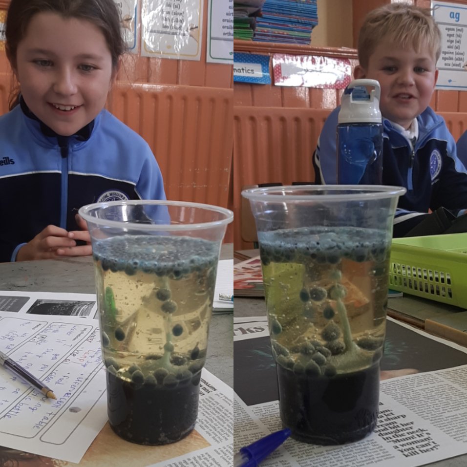 mooncoinprimary's tweet image. 4th class made homemade lava lamps as part of #ScienceWeek2019 🧪👩‍🔬👨‍🔬💡