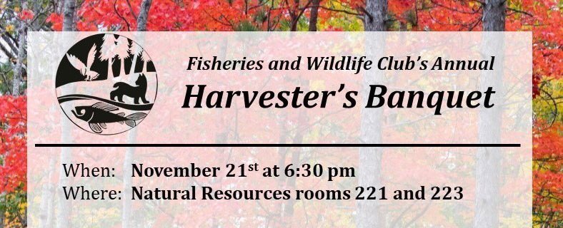 Aidan Champion tweet media