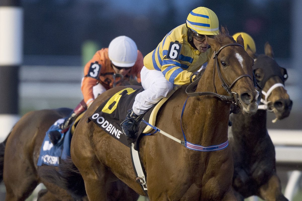 HR_Nation's tweet photo. "I don't think the party's over," Pink Lloyd's trainer, Robert Tiller, told @Steve_Byk on Monday. Canada's star sprinter is expected to race on in 2020: https://t.co/AHDziPp5Lr https://t.co/HKOfQW3mYM