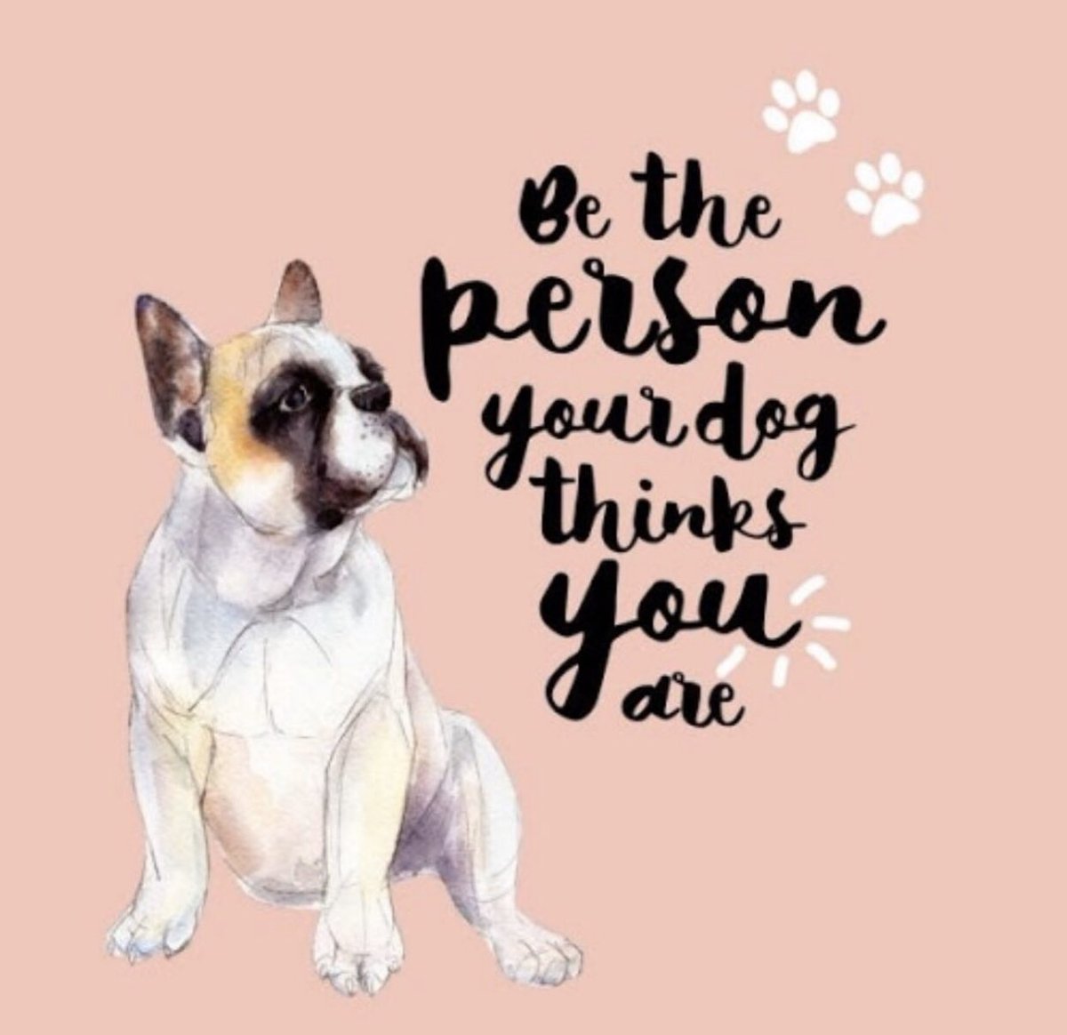 FunkyLilPooch's tweet photo. Be that person 🐾 #HappyMonday 

 #funkylilpooch #woofwoof #handmade #excellent_cats #excellent_dogs #puppiesofinstagram #puppy #cutedog #furmoms #f4f #dogsrule #meowsvswoofs #smallbusiness https://t.co/lK5WutI8Ij
