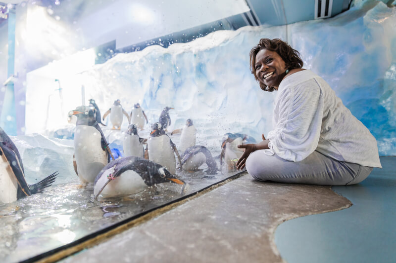 WA3FollowMe's tweet photo. Fall is the perfect time to experience the Detroit Zoo - the first zoo in the nation to go cage free by exhibiting wildlife in their natural habitat. @DetroitZoo #DiscoverWooward https://t.co/Q0lNiDDdTC https://t.co/Nx7MOvfq5e