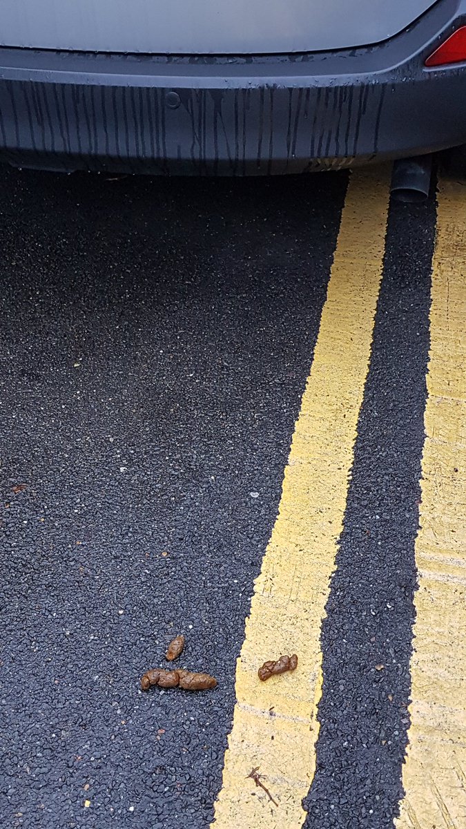 A nice pile of #Dog #poo right by my #car when I'm trying to load up the puschair. Only just missed stepping in it! And we are all supposed to #lovedogs 🤬🤬 #no #Thanks #doglovers