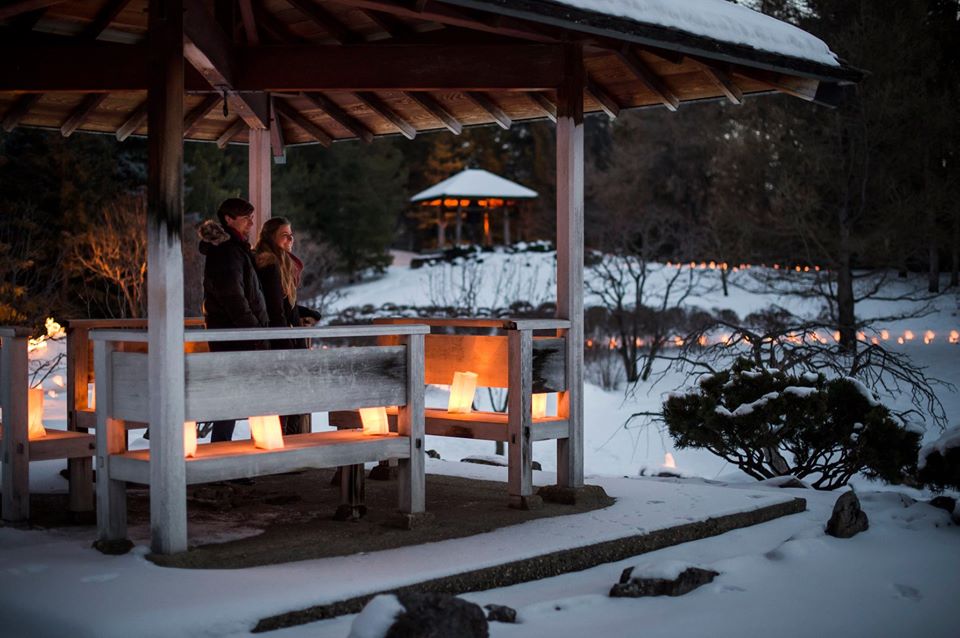 The <a href="/UABotanicGarden/">UofA Botanic Garden</a> has us in a holi-daze. 

📷: <a href="/UABotanicGarden/">UofA Botanic Garden</a>

#triregion #triregiontourism