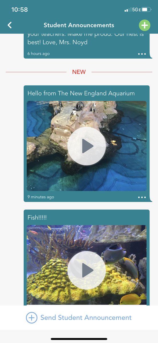 noydsnest's tweet photo. I may be 500 miles from my class, but I love that @Seesaw let’s me take them on a virtual field trip to The New England Aquarium 🐠 🐟 @CoolSpring_ES #csp20 #lcps20 @LCPSOfficial https://t.co/k7r32FIDhJ