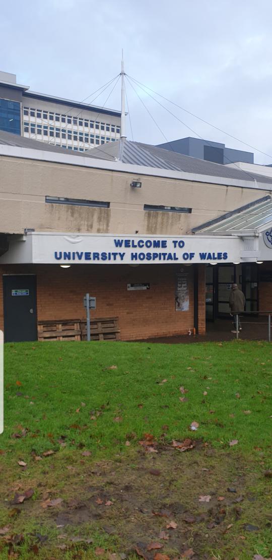 georginabrown's tweet photo. Visiting UHW today to see how we can work collaboratively across Wales to improve stroke services for our patients @niki_turner 🏥💉 @AneurinBevanUHB #StrokeLeadershipProgramme https://t.co/dM6IQyyQdd