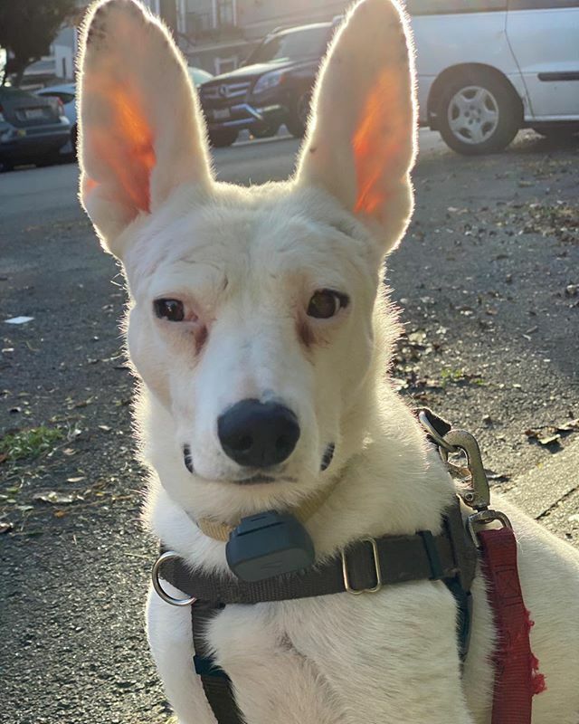IndieOnTheGo's tweet photo. throwing looks 👀 will def need a nap later https://t.co/H9RWT7mkQV https://t.co/On8u51IDXN