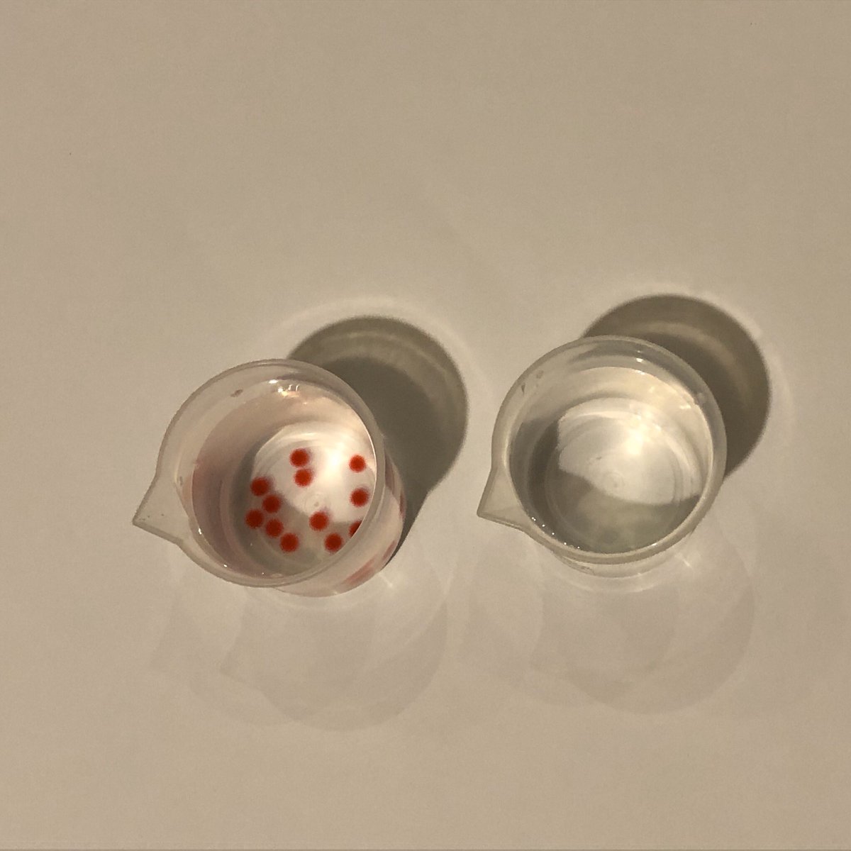 DrJoScience's tweet image. Trialling and prepping for a secret mission.....
#PrimaryScience #STEMeducation #scienceworkshops #sciencelesson #BeCurious #DrJo #DrJoScience #WatchThisSpace