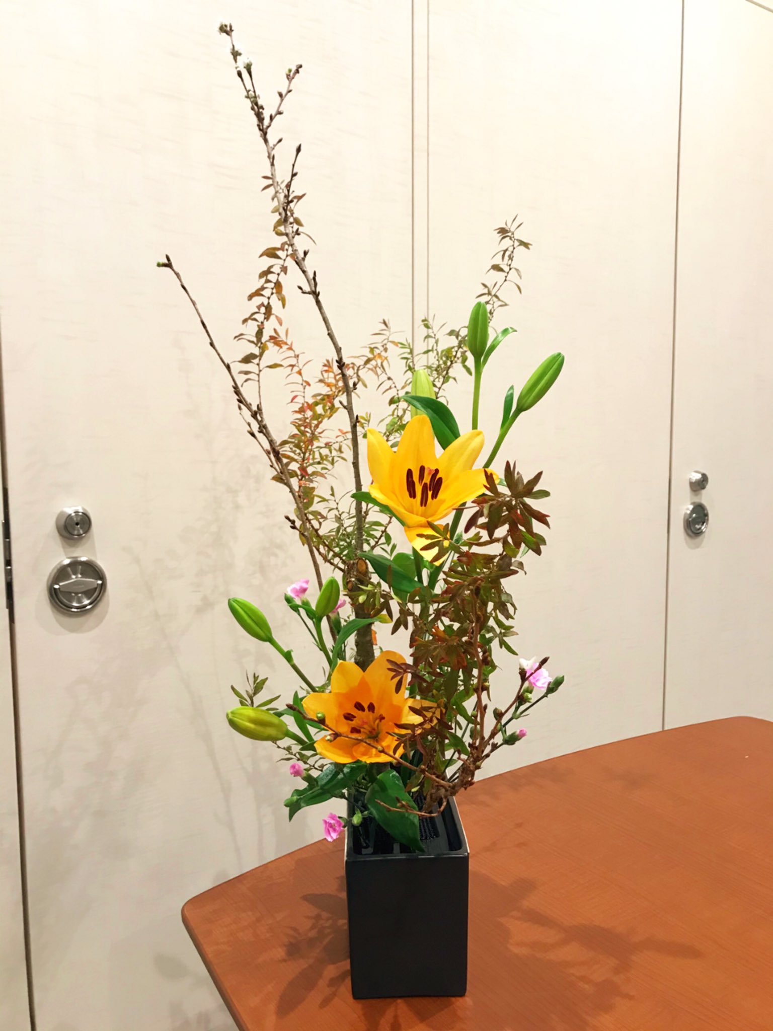 肉野ハラ美 Twitter पर 11月のいけばな いけばな 生け花 池坊 自由花 華道 Ikebana Ikenobo Flower 花 スカシユリ 寒桜 雪柳 カーネーション スプレーカーネーション 突然のいけばな T Co Ups7fjxyol Twitter