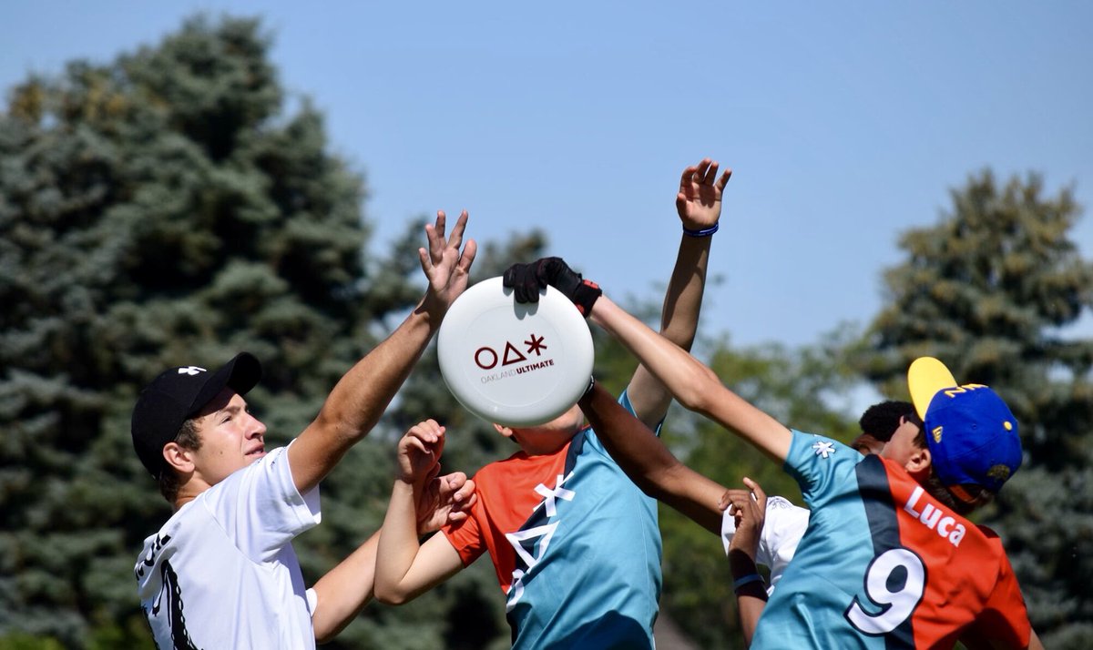 OAK_Ultimate tweet media