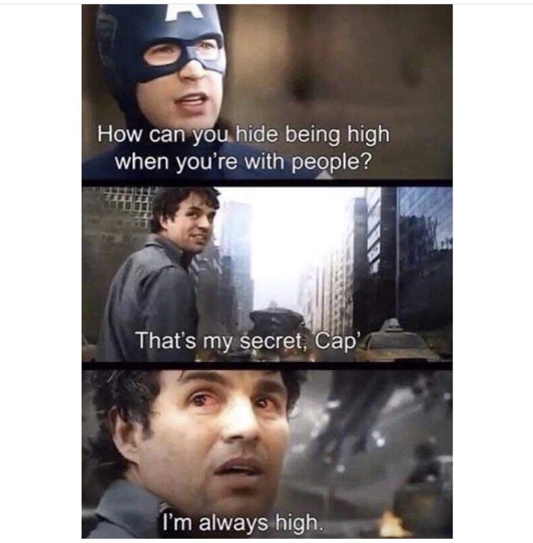 ForStonersProd's tweet photo. Nobody can tell that you’re high if you’re always high🤷‍♂️
#alwayshigh #ForStoners #420life #420 #weed #weedhumor #weedhumor420 #dank #dankweed #420lifestyle #weedlifestyle #weedlife #weedmemes #420memes #dankmemes #stonerlife #stoner #stoned #high #highaf #stonedaf #cannabis https://t.co/uOVSQq2Dip