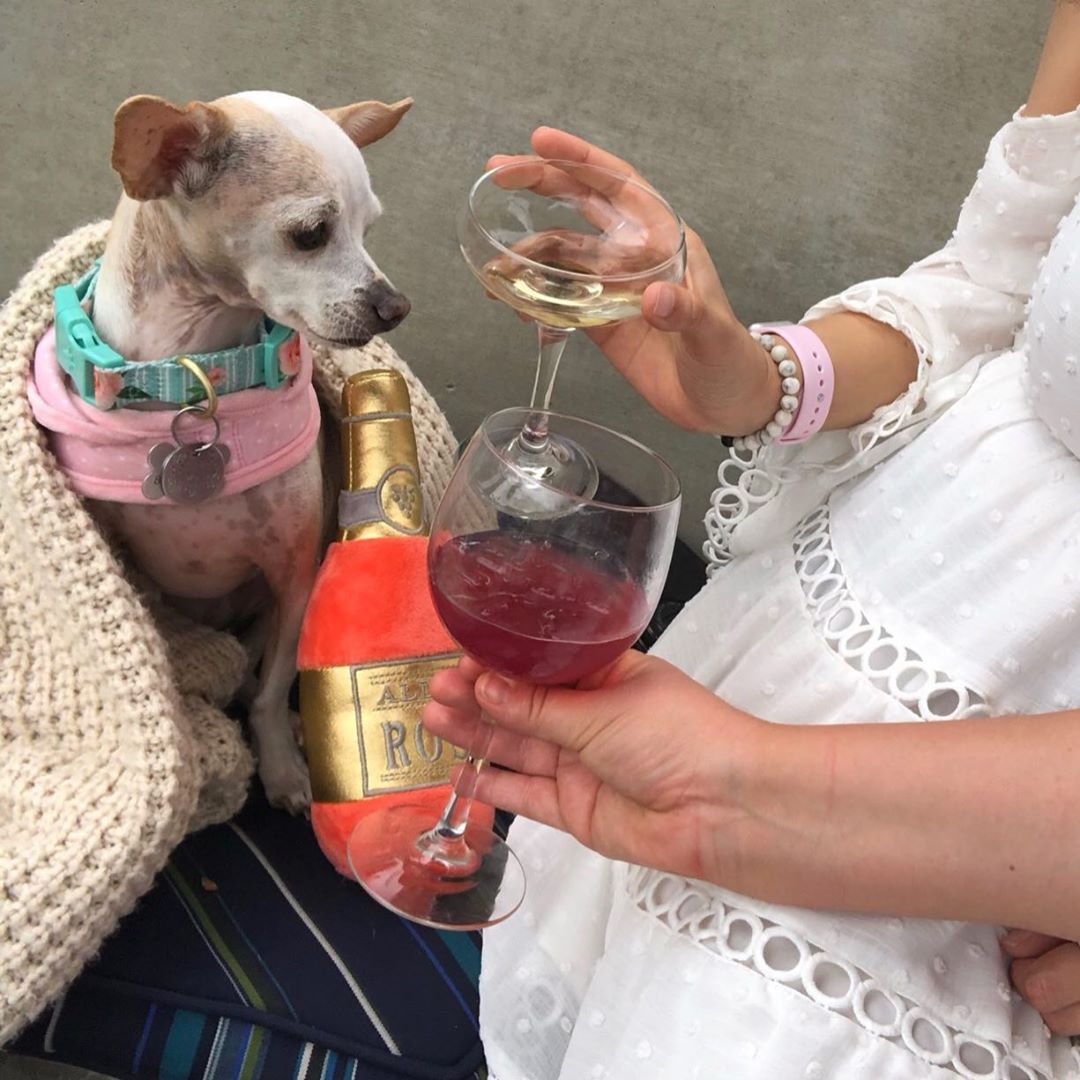 There are drinks for everyone here. 😉

#diningoutsd #sandiegodrinks #happyhour