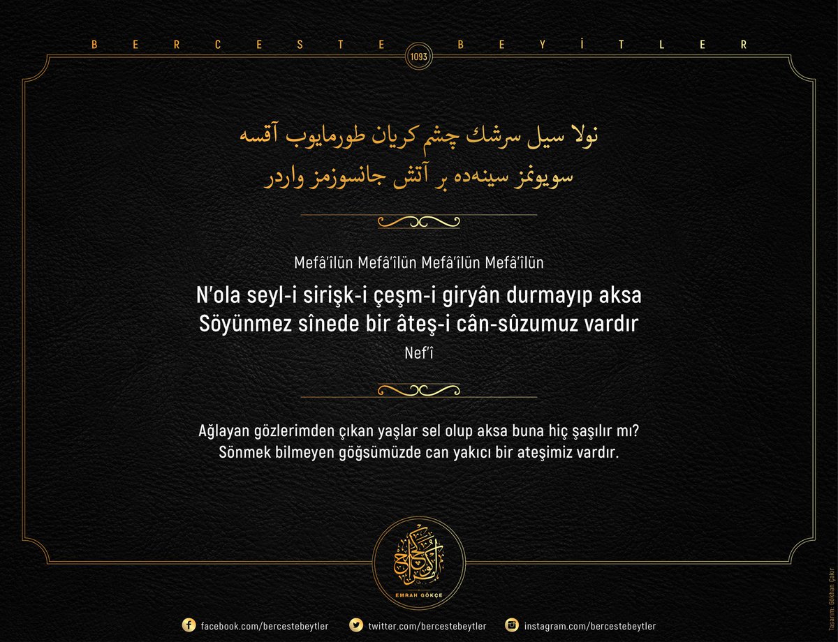 Katta eshakli ayollarning suratlari becerdin