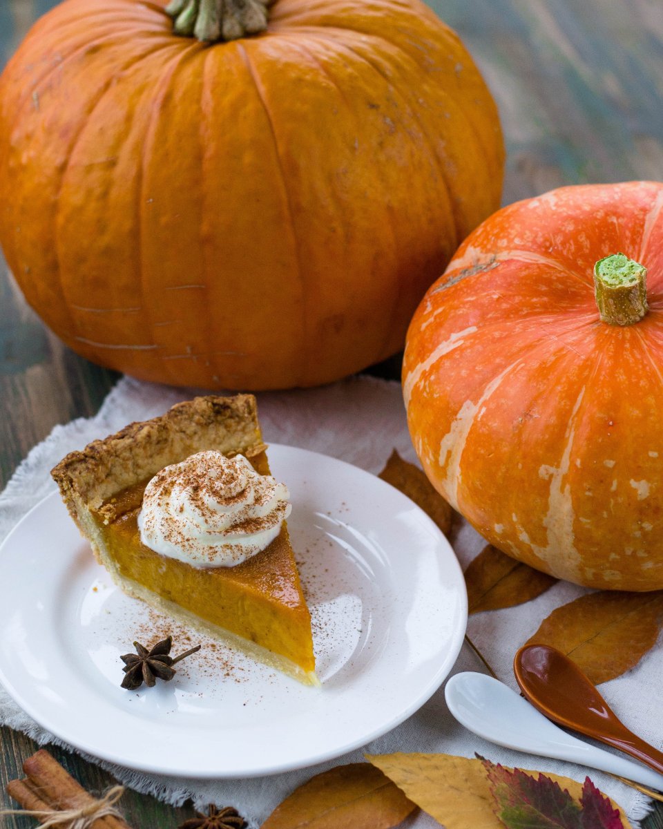 benny_donut's tweet photo. What's your go-to Thanksgiving specialty you enjoy making? https://t.co/8BA42ccnQc