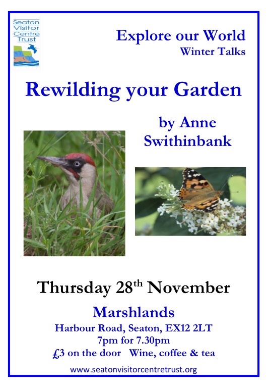 SeatonVct's tweet image. Winter talks about "Rewilding your Garden" by Anne Swithinbank. Thursday 28th November at  at Marshlands, Harbour Rd #SEATON 7pm for 7.30pm start £3
