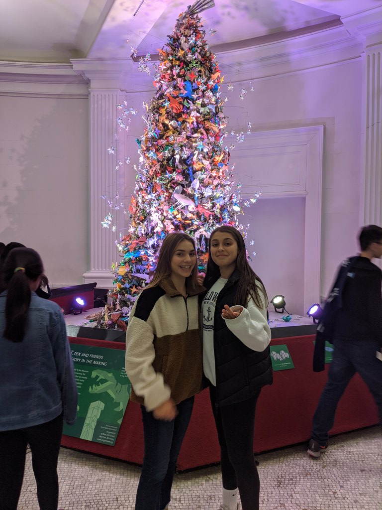 DohertyScience's tweet image. Our trip to AMNh has been #treemendous so far!
