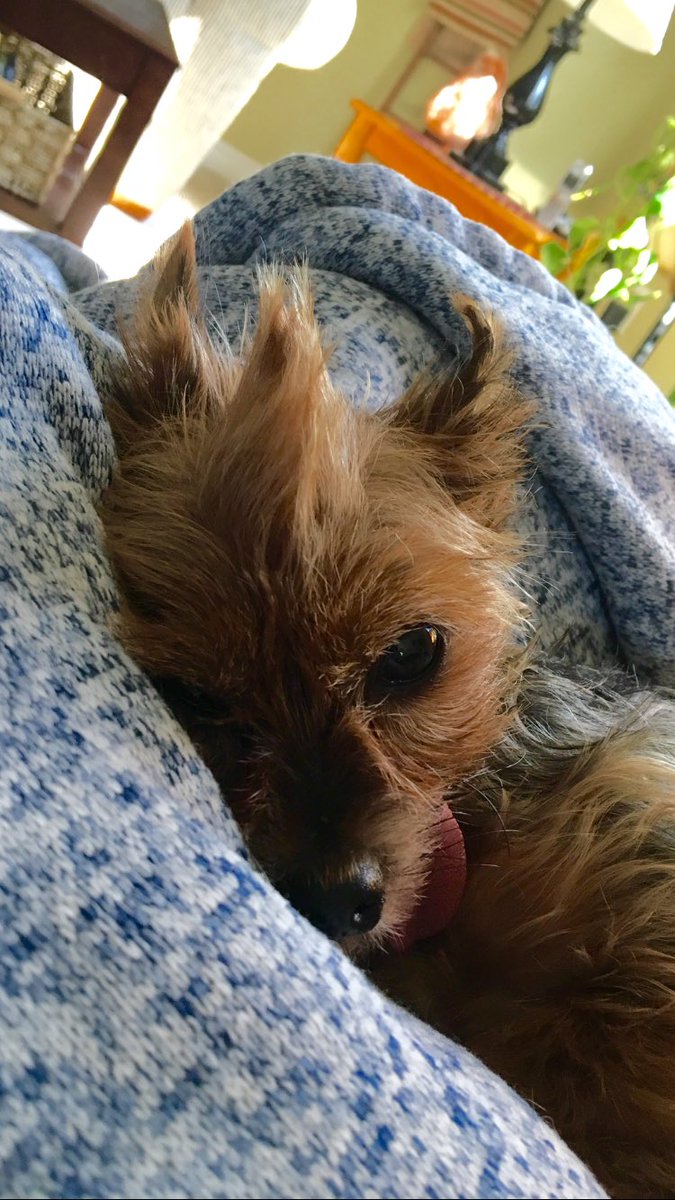 cgburt's tweet photo. She's so #punk https://t.co/3Urbes7PVL