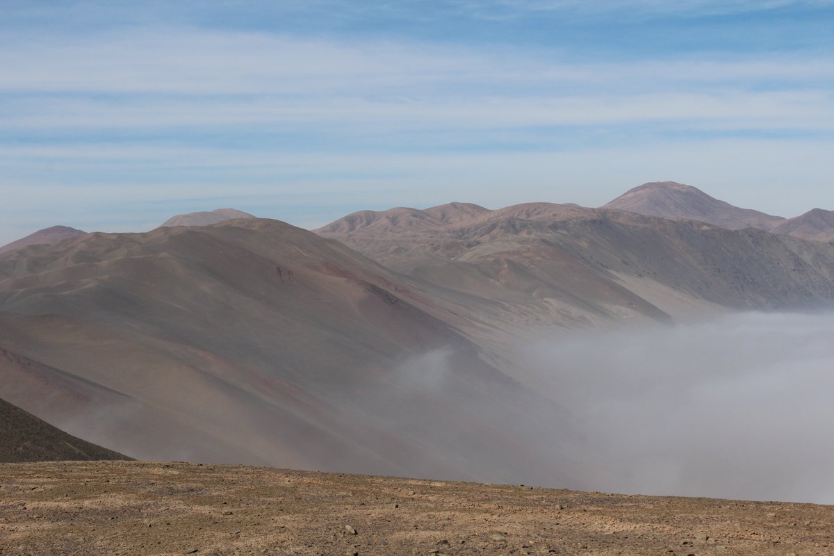 InvestigacionUC's tweet photo. “La niebla es un recurso hídrico prácticamente desconocido, por eso es clave la investigación de más de 3 años del proyecto ERAnet entre Heidelberg University of Education, @UniHeidelberg @UNSA_Oficial @ULL y @ucatolica” vicerrector #InvestigaciónUC @pedrobouchon en #AltoPatache https://t.co/d8uoV6AZfk