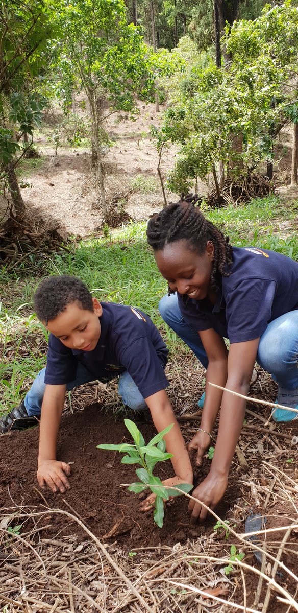suechomba's tweet photo. Well done Leisen for mobilising #footballers for a good course, I was honoured to spend the weekend enriching Karura forest with indigenous trees with such brilliant and committed youth @RegreenAfrica @LigiNdogo https://t.co/tW12PwDU5N