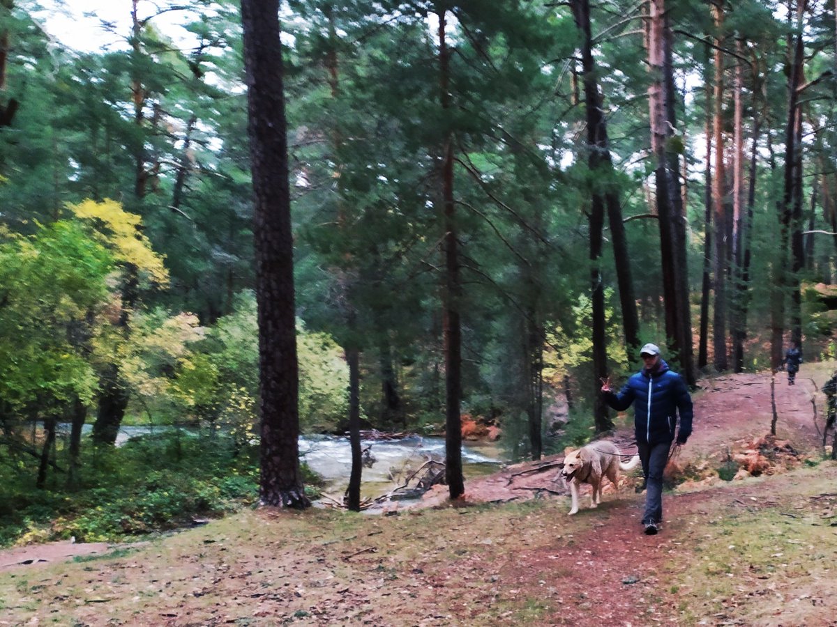 AnutCanina's tweet photo. Aquí tenéis algunas fotos de nuestro #paseodesocializacion del pasado sábado junto a Escuela Canina La Tejera. Gracias a todos los que vinisteis a disfrutar con nosotros en #bocadelasno Si no quieres perderte el próximo apuntate en nuestra web o en info@anut.es https://t.co/chT2ZCxWtW