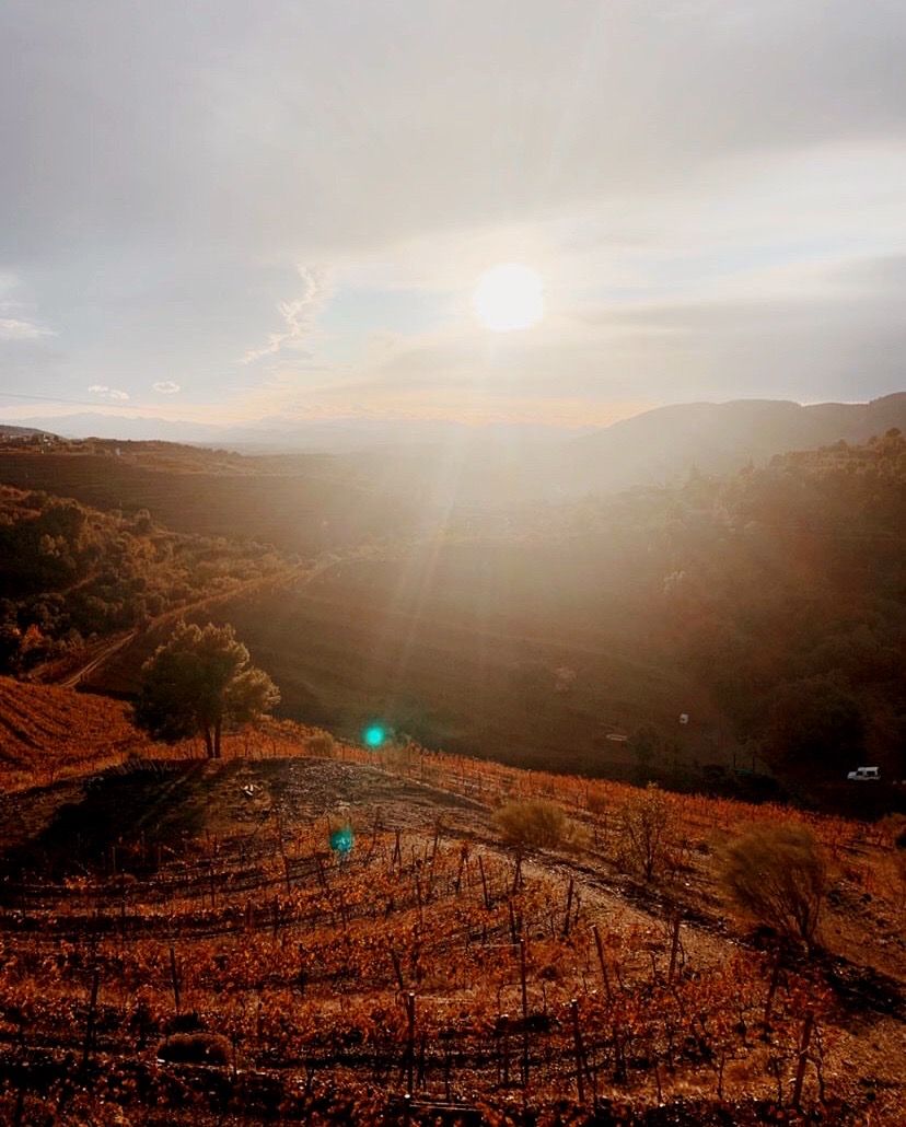 Trossos del Priorat tweet media